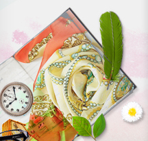 silk fabric supplier